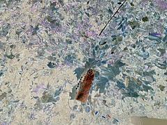 klingding radio • present the presentation 43: Ute Wassermann • Stimme als Klanginstrument