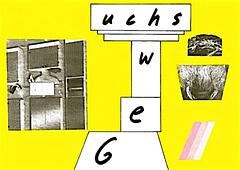 Gewuchs Teil III - diesmal mit Ton