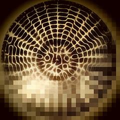 États intermédiaires