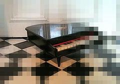 Die Finalistinnen machen weiter