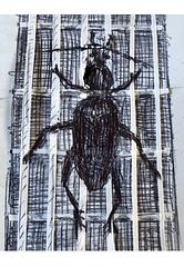 Mimatho - Freispiel für drei E-Gitarren