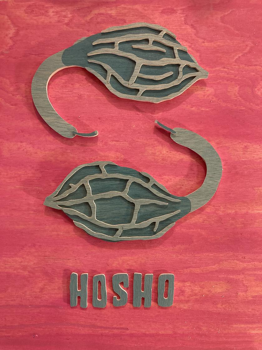 HOSHO brennt recs Release Concert!