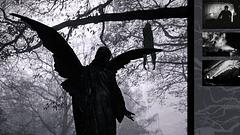 Brighter Death Now (se), raison d'etre (se), Desiderii Margins (se)