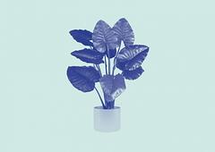 SOUND ART WORKSHOP / Radikal Unsichtbar ACT 5: NOMENRATURE