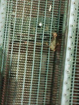 klingding radio • records & tracks FSK 93,0