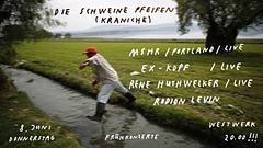 Die Schweine Pfeifen