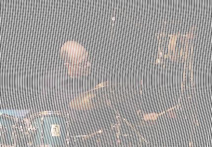 multiphonics: Konzertreihe für Free Jazz, frei improvisierte Musik & Performance