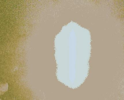 Stylish Nonsense (Tha) - Der kleine Freitag Special