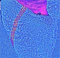 h7 club@blurred edges 2011