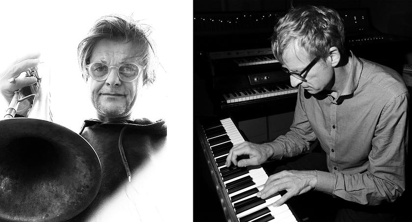 how to hypnotize a snake